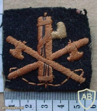 Blackshirts Other Ranks sleeve badge img12694