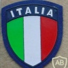 Italian Air Force Nationality arm patch