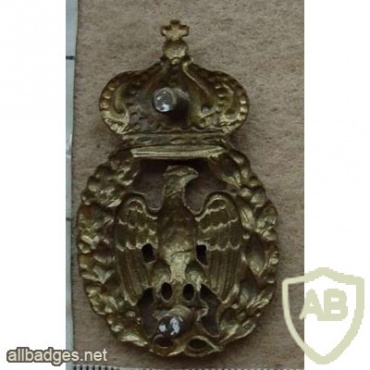 Italian Air Force cap badge - Regia Aeronautica img12682