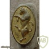 Italian 82nd Infantry Regiment Torino WW2 breast badge