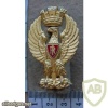 Italian State Police cap badge (Polizia Italiana) img12676