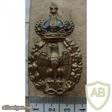 Italian Air Force cap badge - Regia Aeronautica img12681