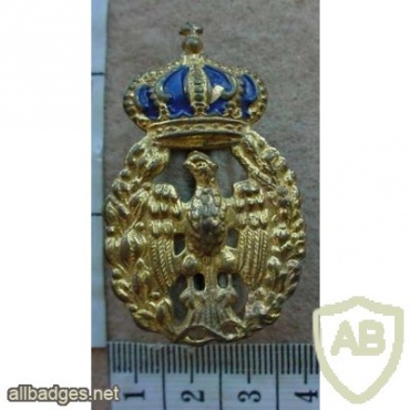 Italian Air Force cap badge - Regia Aeronautica img12683