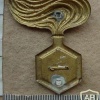 Chemical Warfare Engineers cap badge img12878