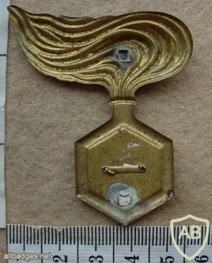 Chemical Warfare Engineers cap badge img12878