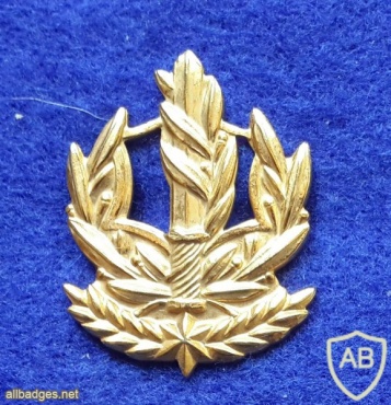 דרגת צווארון רס''ב (רב סמל בכיר) - חיל הים img12815