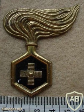 Chemical Warfare Engineers cap badge img12877
