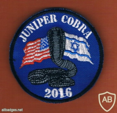 תרגיל ישראלי אמריקאי  יוניפר קוברה 2016 img12933