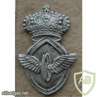 Italian Motor Transport badge img13014