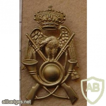 Alpini (Italian mountain troops) 1920's cap badge img13013