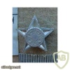 Italian MVSN Officers rank star img13034