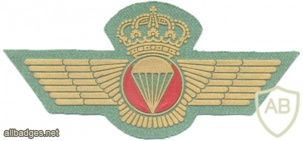 SPAIN Spanish Legion Airborne Parachute wings, post- 1977, cloth, gold img13079