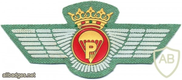 SPAIN Spanish Legion Airborne Parachute Rigger wings, pre- 1977, cloth, silver img13081