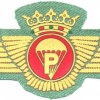SPAIN Spanish Legion Airborne Parachute Rigger wings, pre- 1977, cloth, gold