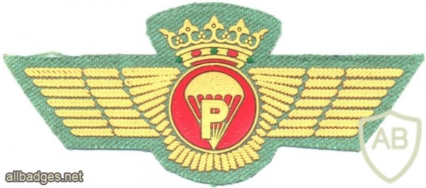 SPAIN Spanish Legion Airborne Parachute Rigger wings, pre- 1977, cloth, gold img13082