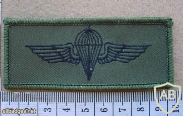 Jordan paratrooper wings, combat dress img13141