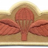 UK British Army Parachute Jump wings, desert img13143