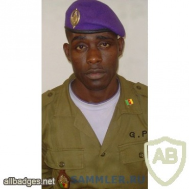 CAMEROON Presidential Guard beret badge img13167