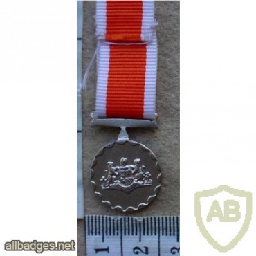 Lebowa Police 20 Year Long Service medal, miniature img13271