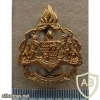 Lebowa Defence Force beret badge
