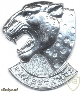 SOUTH AFRICA 121st Infantry Battalion beret badge img13246
