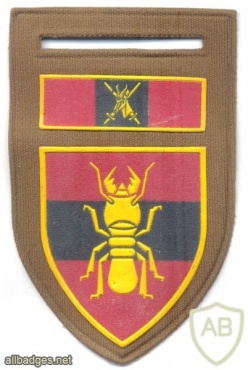 SOUTH AFRICA 1st Construction Regiment, Engineers 'tupperware' shoulder flash img13235