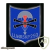 250th Airborne Mortar Company