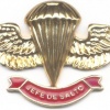COLOMBIA Jumpmaster Parachutist wings, type 5 img13498