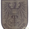 AUSTRIA Army (Bundesheer) - Army generic sleeve patch, subdued