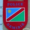 Namibian Police Force arm flash 1
