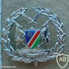 Namibian Army Warrant Officer Class 1