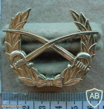 Namibian Army cap badge, 2nd pattern img13781
