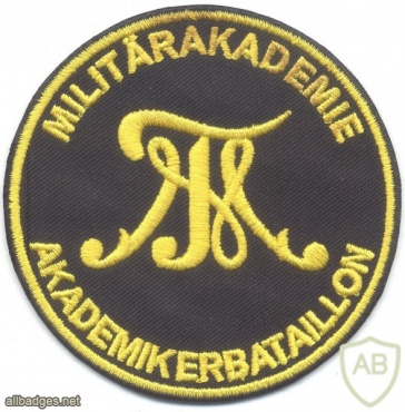 AUSTRIA Army (Bundesheer) - Academic Battalion, Theresian Military Academy sleeve patch img13739