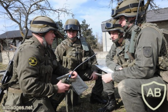 AUSTRIA Army (Bundesheer) - Academic Battalion, Theresian Military Academy sleeve patch img13738