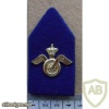 Netherlands Transport & Supply Troops collar badge