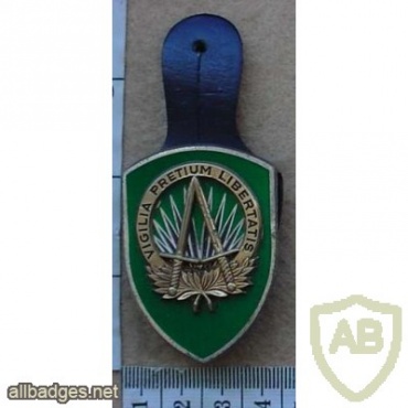 Supreme Headquarters Allied Powers Europe pocket fob badge img13806