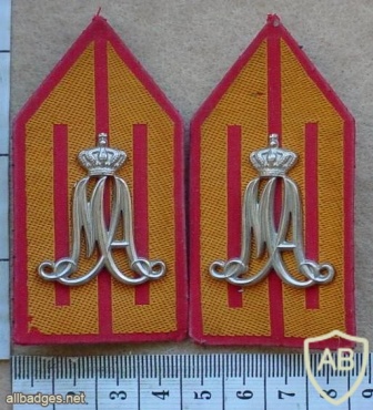 Royal Netherlands Military Academy collar badges img13821