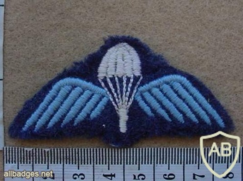 New Zealand Air Force paratrooper wings img13855