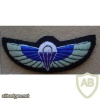 NZSAS (New Zealand Special Air Service) paratrooper wings