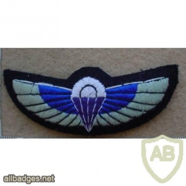NZSAS (New Zealand Special Air Service) paratrooper wings img13858
