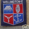 New Zealand Wellington East Boy Scouts arm patch