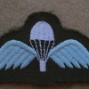 New Zealand Army para wings img13857
