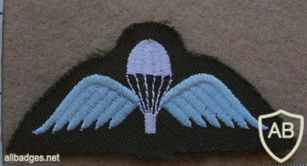New Zealand Army para wings img13857