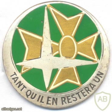 FRANCE Reconnaissance Squadron, 1st Armoured Division pocket badge, type 1 1980s img13866