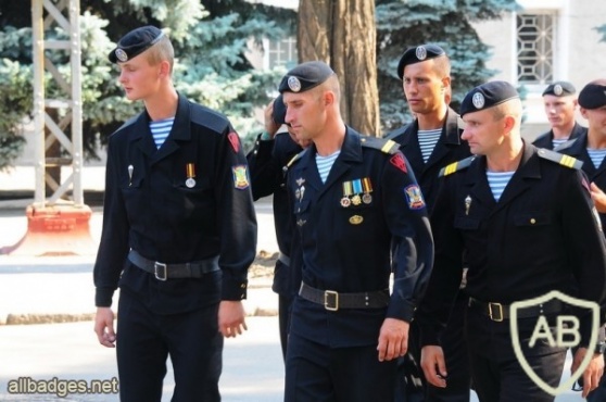 UKRAINE Marine Infantry beret badge, metal img14093