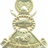 SWAZILAND Army beret/visor hat badge