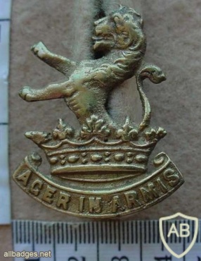 New Zealand Wellington West Coast Regiment cap badge, WWII img14317