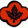 43rd Infantry Division, 1925