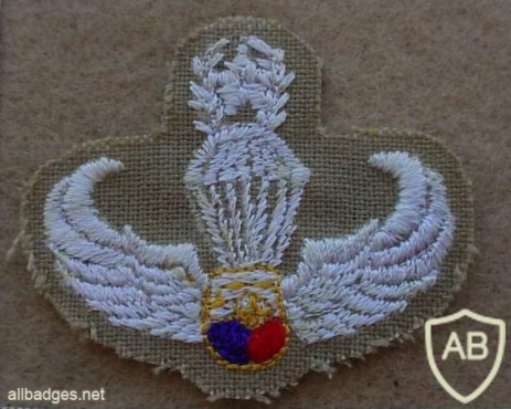 PHILIPPINES Army Parachutist jump wings, Master, type 3 img14357