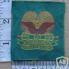 Papua New Guinea Defence Force arm patch img14348
